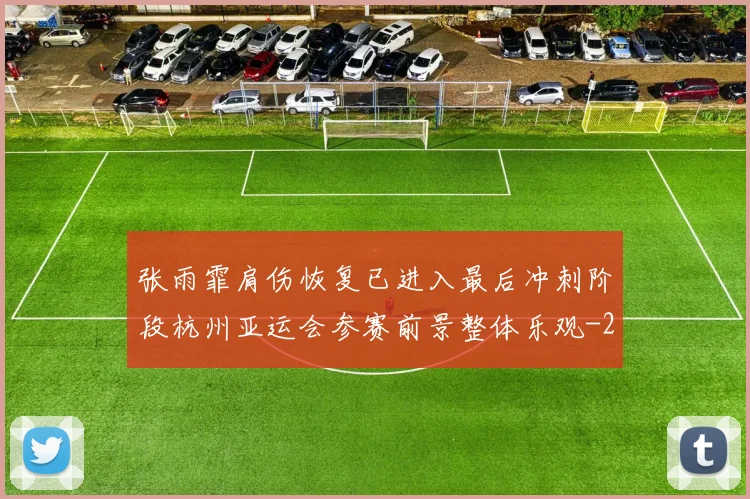 张雨霏肩伤恢复已进入最后冲刺阶段杭州亚运会参赛前景整体乐观