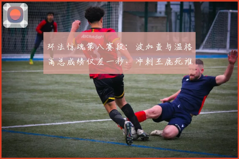 环法惊魂第八赛段：波加查与温格高总成绩仅差一秒，冲刺王鹿死谁手深度解析