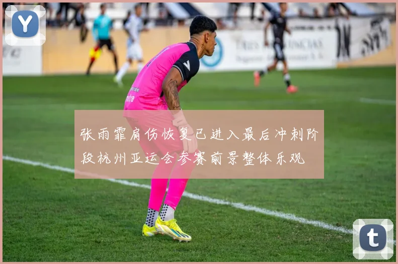 张雨霏肩伤恢复已进入最后冲刺阶段杭州亚运会参赛前景整体乐观
